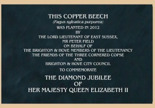 copper beech plaque