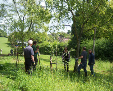 we tidied up the area round the Silver Birches