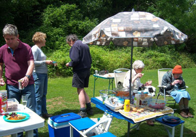 barbecue and picnic in the sunshine