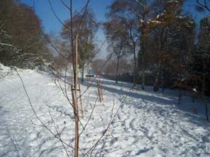 Snow-covered slope